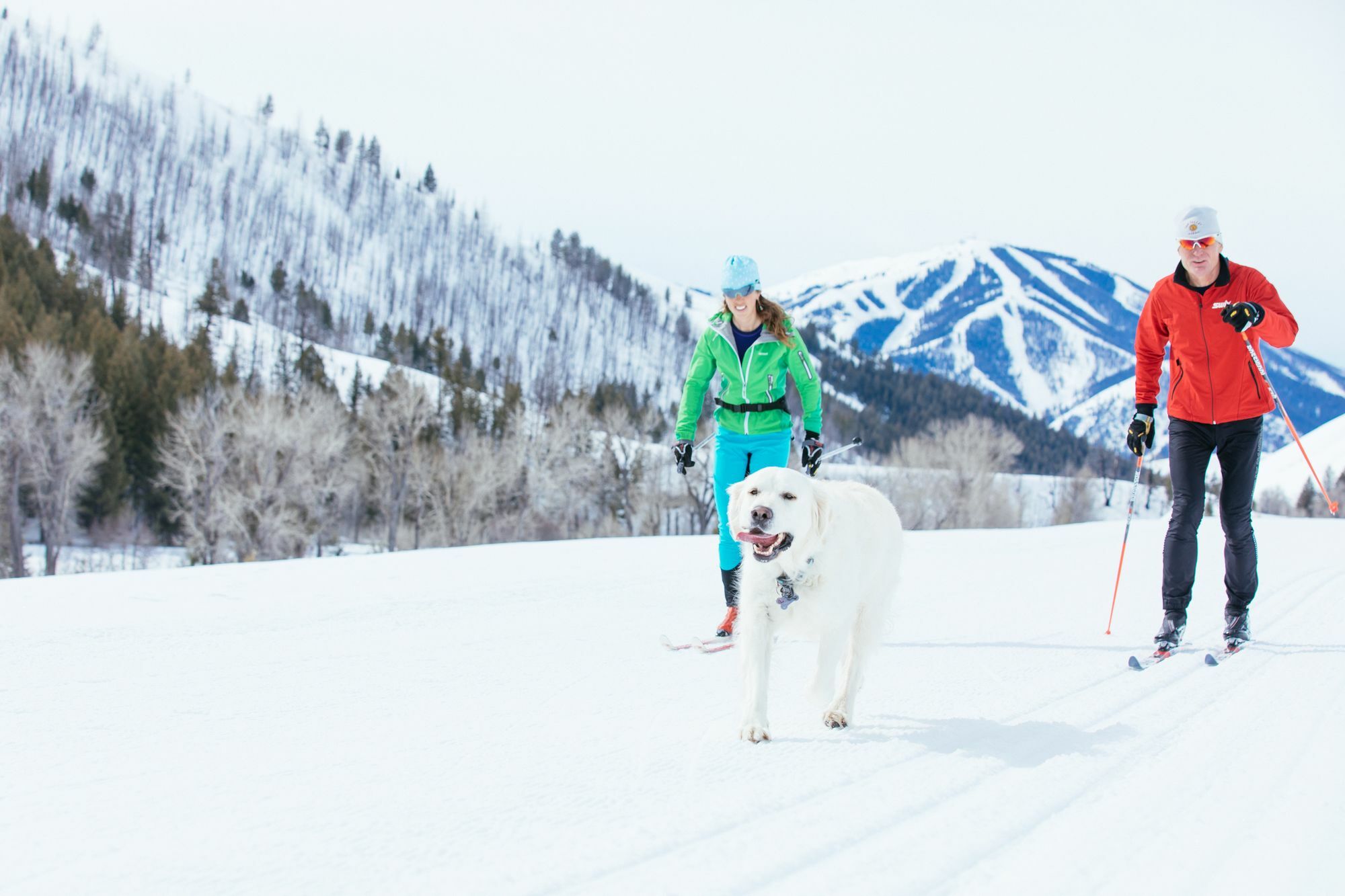 Sun Valley Resort Kültér fotó